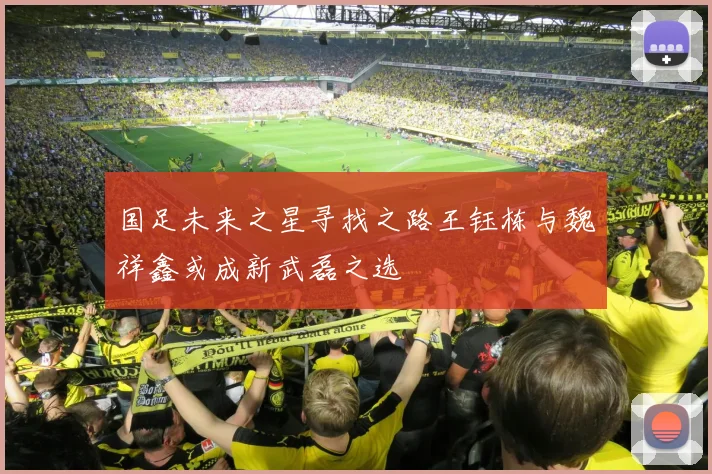 国足未来之星寻找之路王钰栋与魏祥鑫或成新武磊之选